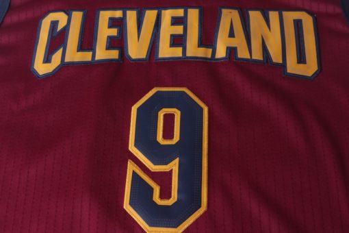 Dwayne Wade 9 Cleveland Cavaliers Icon Swingman Jersey