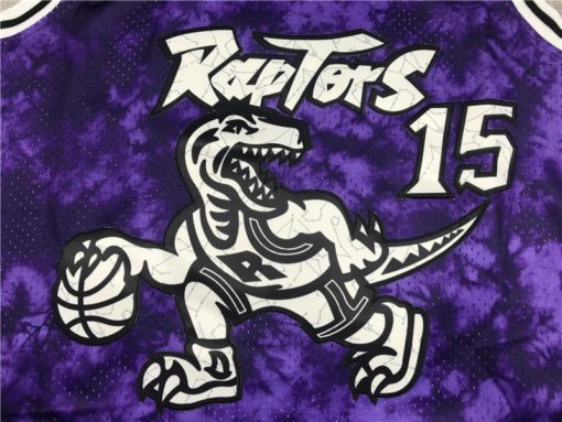 Vince Carter #15 Toronto Raptors Purple Jersey LOG